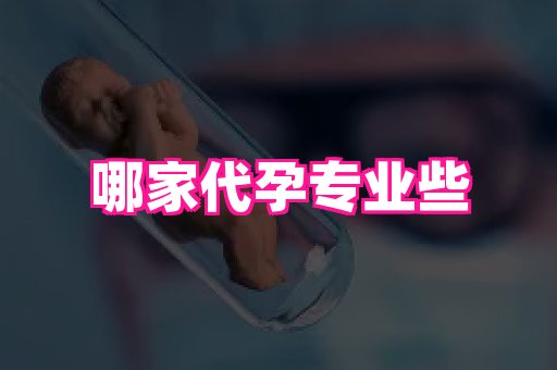 swisee孕网 3