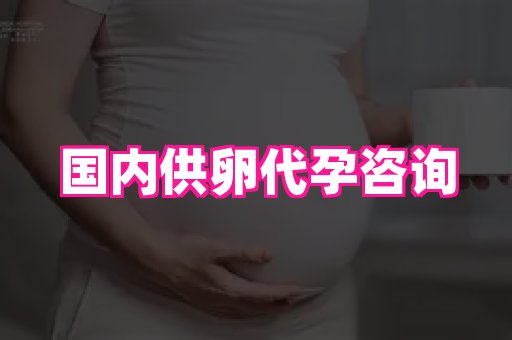 swisee孕网 4